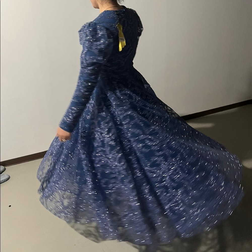 Ballgown Cinderella Dark Blue dress with Glitter Design Women